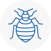 Bed Bug Extermination In Yateley